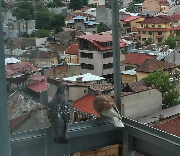 Apartmán New Roof View Bukurešť